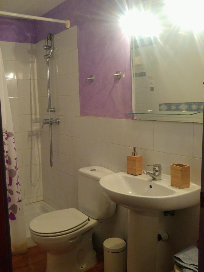Apartamentos Saltarel-Lo Besalú Eksteriør billede